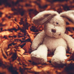 little-sad-rabbit-1700